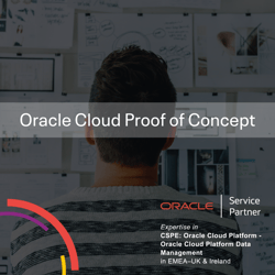 Oracle Cloud Consultants