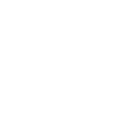 DSP-logo-white-200px