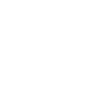 DSP-white-logo-2019-250px