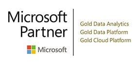 Microsoft-DSP-Partner (002)-1