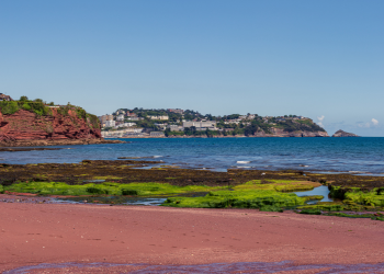 Torbay Landscape