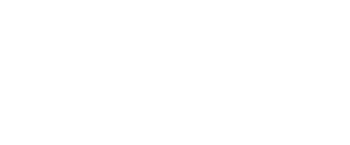 MPN-Competencies-Transparency-(White)-gold+silver