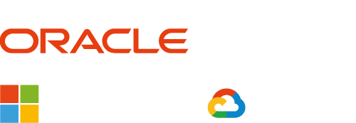 Oracle, Microsoft, GCP Partner