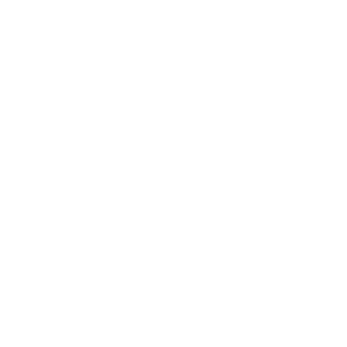 DSP-logo-white-500px