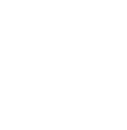 DSP-white-logo