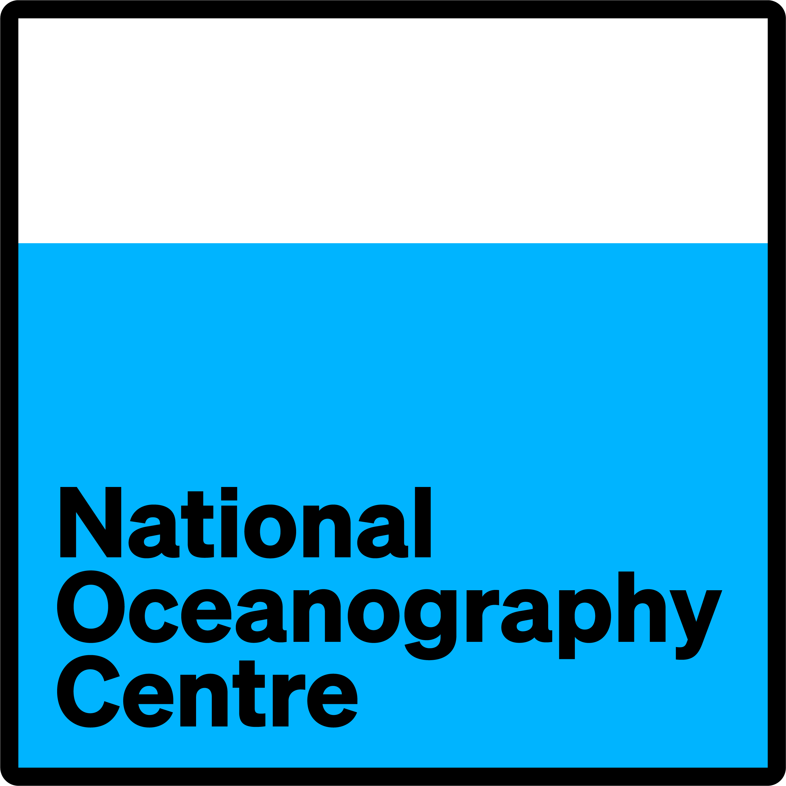 NOC LOGO - OPAQUE (RGB)