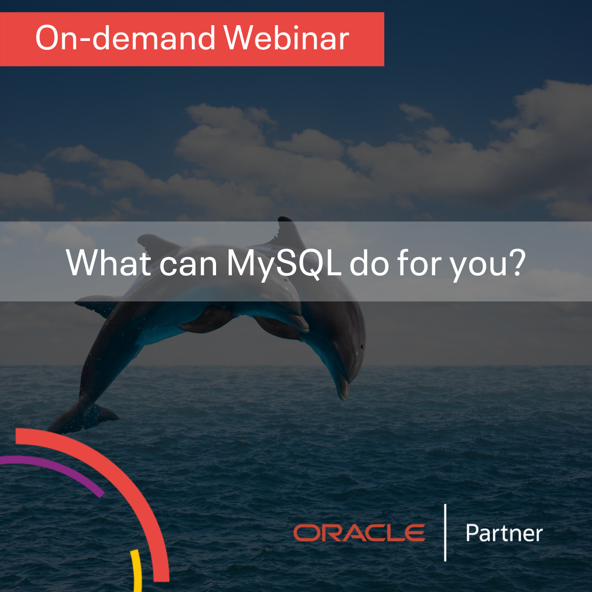 MySQL