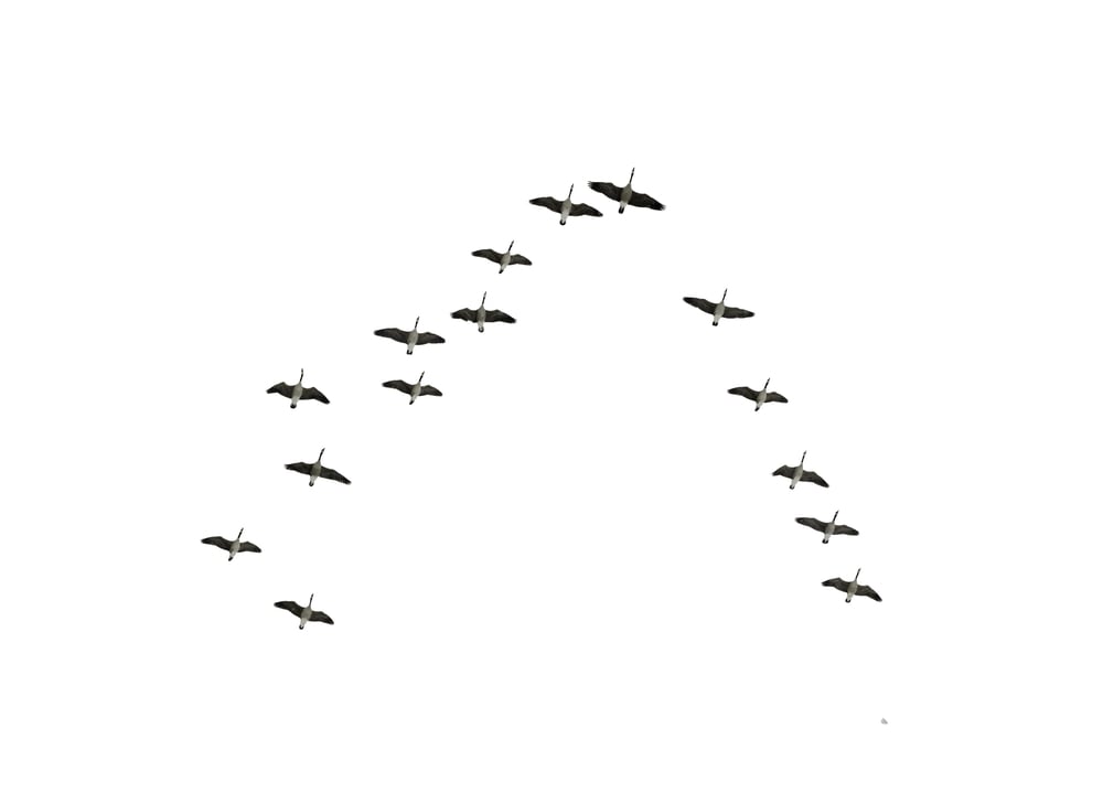 5 Ways a Migration to Oracle Cloud Infrastructure can solve your Oracle licensing headaches