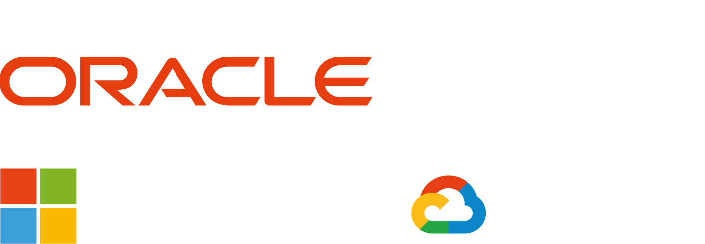 Oracle Microsoft Google Partner